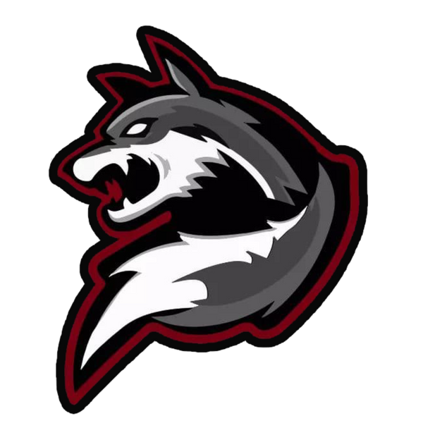 Bad Wolf Gaming